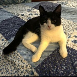 Meet your Posher, 1223Bubba